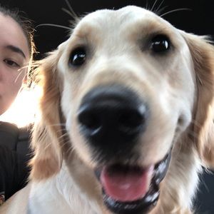 Meet your Posher, Lilan